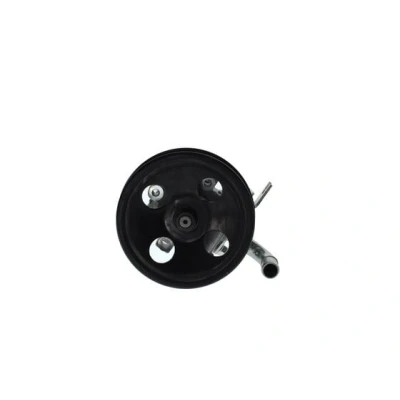 Afbeelding van Bosch Servopomp K S02 000 053