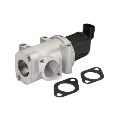 Afbeelding van NRF EGR klep 48400