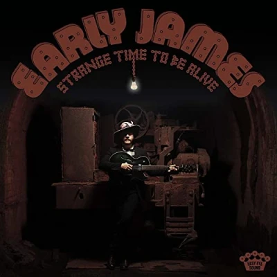 Afbeelding van Early James Strange Time To Be Alive (LP)