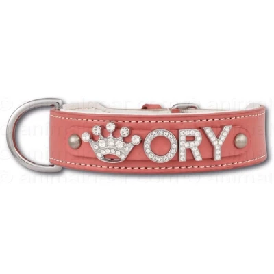 Afbeelding van Doxtasy Hondenhalsband met naam Medium Pink