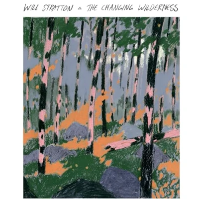Afbeelding van Will Stratton The Changing Wilderness (CD)