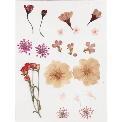 Afbeelding van Creativ Company Gedroogde Bloemen en Bladeren Lichtroze
