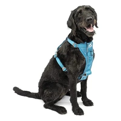 Afbeelding van Kurgo Hondentuigje Pet Walking Harnas, No Pull Harness Front Clipfunctie voor training inbegrepen, autoveiligheidsgordel, TRU Fit snelsluiting, groot, blauw