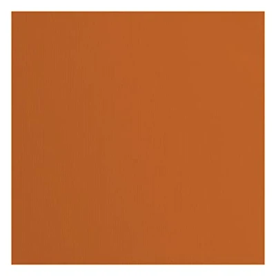 Afbeelding van Vaessen Creative Florence Cardstock papier, bruin, 216 gram/m², vierkant, 30,5 x cm, 20 stuks, textuur, voor scrapbooking, kaarten maken, ponsen en ander papierknutselwerk