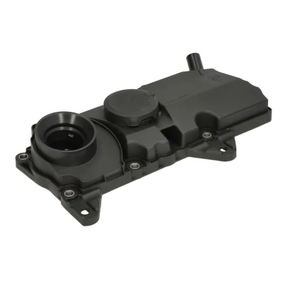 Afbeelding van Cilinderkop afdekking VAICO V95 0653