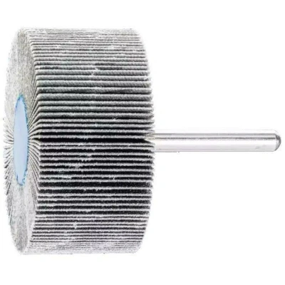 Afbeelding van PFERD 44521156 Lamellenschijf Diameter 60 mm 10 stuk(s)