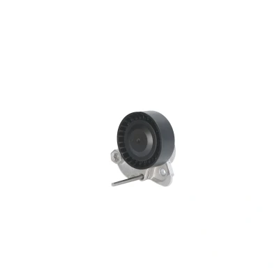 Afbeelding van Ina Spanner poly V riem 534 0497 10