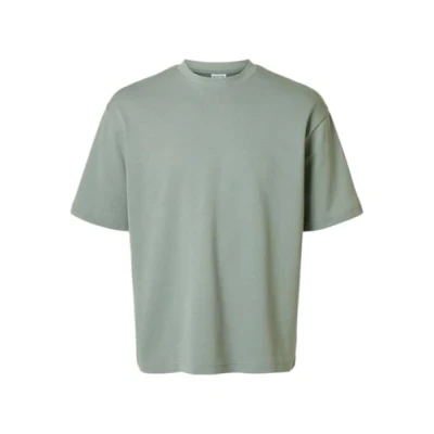 Afbeelding van Selected Homme Slhlooseoscar O NECK TEE Tshirt basic, Heren, Maat: Small, Iceberg green