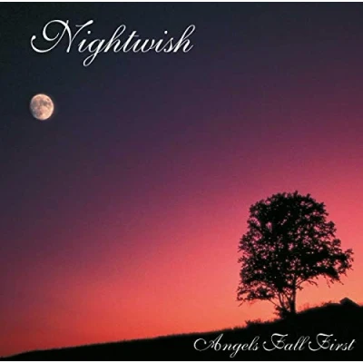 Afbeelding van Nightwish Angels Fall First (2 LPs)