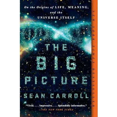 Afbeelding van the Big Picture: On Origins of Life, Meaning, and Universe Itself
