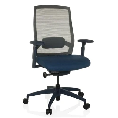 Afbeelding van hjh OFFICE Ergonomische bureaustoel Colore professionele draaistoel, zitdiepte en lendensteun verstelbaar, ademende rugleuning, blauw