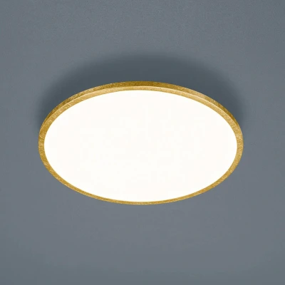 Afbeelding van Helestra Rack LED plafondlamp dimbaar rond goud