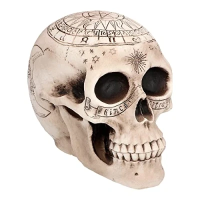 Afbeelding van Boland Schedel Astronomy Horror