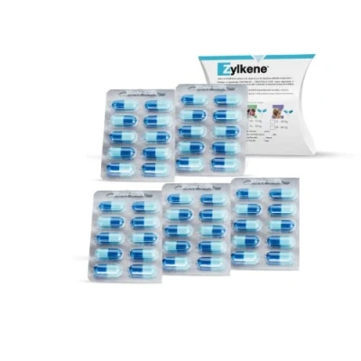Afbeelding van Zylkene 450 mg 50 capsules Voedingssupplement voor grote honden Ter ondersteuning in ongebruikelijke situaties Met trypsine gehydrolyseerd runder caseïne