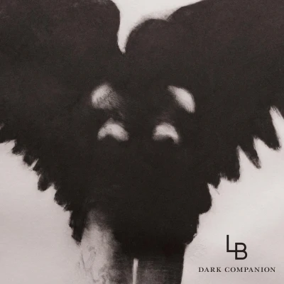 Afbeelding van Lars Bygden Dark Companion