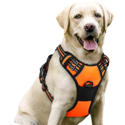 Afbeelding van rabbitgoo Hondenharnas No Pull Oranje L, Gewatteerde Verstelbare Huisdier Vest, Hondentuigje met handvat en Frontclip, Duurzaam Reflecterend, Anti trek Hondentuig voor Training Wandelen