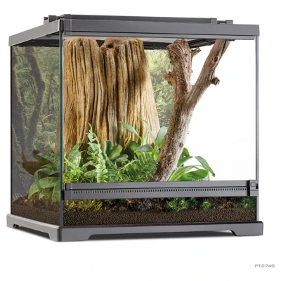 Afbeelding van Exo Terra Frog Pijlgifkikker Terrarium Terraria 45.7x45x45 cm