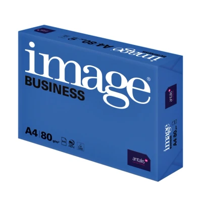 Afbeelding van Kopieerpapier Image Business A4 80gr wit 500vel