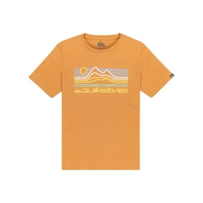 Afbeelding van Quiksilver T shirt met korte mouwen EV Light Waves SS bruin 10