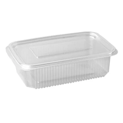 Afbeelding van Saladebakken met Vaste Deksel + 750cc PP Rechthoek Transparant 52 x 130 190mm