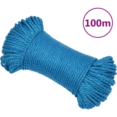 Afbeelding van vidaXL Werktouw 8 mm 100 m polypropeen blauw