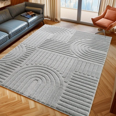 Afbeelding van Japandi ART Vloerkleed Boho Scandinavisch Laagpolig Effen Grijs 160x230 cm Rechthoek Polypropyleen Tapijtenloods
