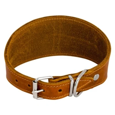 Afbeelding van JACK AND VANILLA, Hondenhalsband, model vet leer, cognac, maat 37 cm