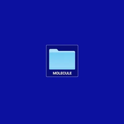 Afbeelding van Molecule Re 201 (LP)