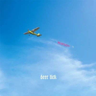 Afbeelding van Deer Tick Negativity (2 LPs)
