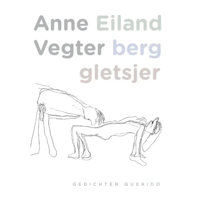 Afbeelding van Eiland berg gletsjer