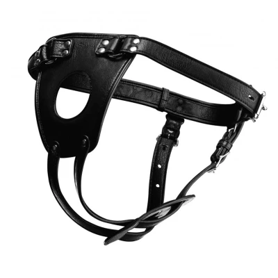 Afbeelding van Ass Holster Buttplug Harnas