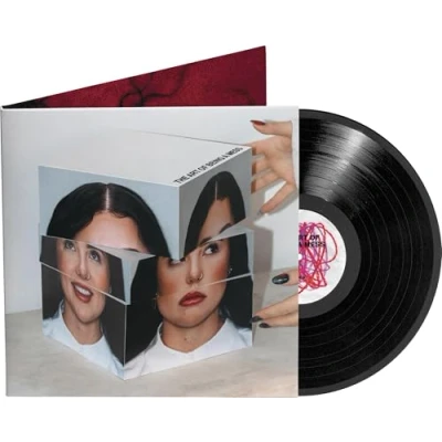 Afbeelding van Lauren Spencer Smith The Art Of Being A Mess (LP)