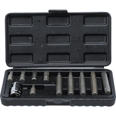 Afbeelding van BGS Bitset 3/8&quot; veeltand (voor XZN) 11 delig