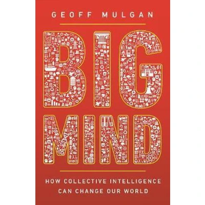 Afbeelding van Big Mind: How Collective Intelligence Can Change Our World