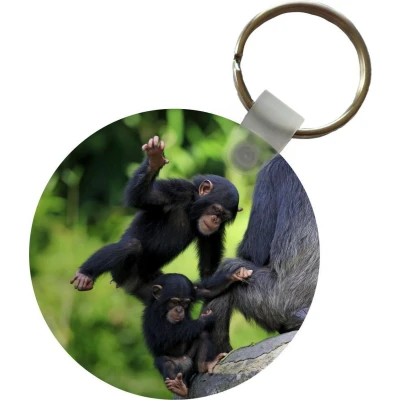 Afbeelding van Sleutelhanger Chimpansee Steen Jong Plastic Rond Uitdeelcadeautjes