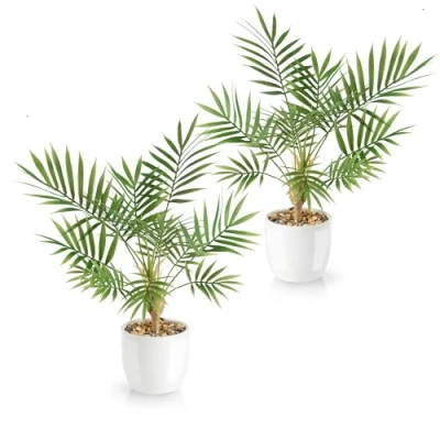 Afbeelding van PASCH® Areca Kunstpalm, set van 2 stuks, 35 cm, in witte keramische potten: kunstplanten als echt pot kunstplant kunstpalm kunstbloemen