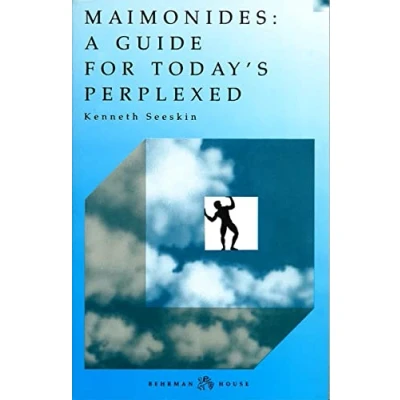 Afbeelding van Maimonides: Guide for Today&#039;s Perplexed