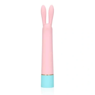 Afbeelding van Mini Rabbit vibrator met USB poort