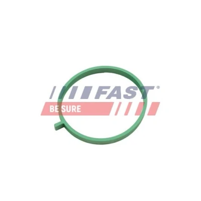 Afbeelding van FAST FT49472 Inlaatspruitstuk Pakking Midden