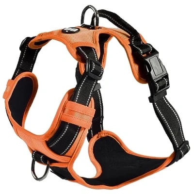 Afbeelding van Bobby Rando Walk Hondenharnas, middelgroot, klein, van nylon, veilig, comfortabel, reflecterend, verstelbaar, oranje, M/40 63 x 2 cm