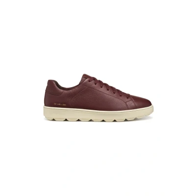 Afbeelding van Geox Spherica ECUB Sneakers laag, Heren, Maat: 41, Wine Leer