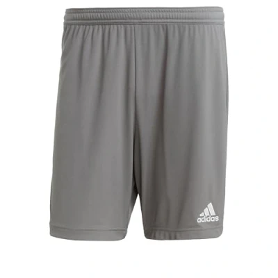 Afbeelding van adidas Heren Entrada 22 Shorts, Team Grey Four, S Tall