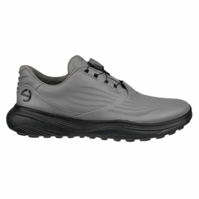 Afbeelding van ECCO LT 1 BOA Golfschoenen, Heren, Maat: 43, Steel Leer