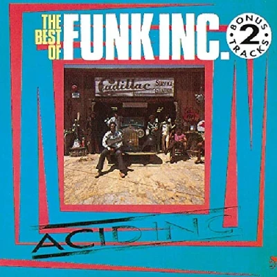 Afbeelding van Acid Inc.: The Best Of Funk Inc.