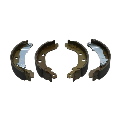 Afbeelding van Kavo Parts Remschoen set KBS 7419