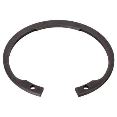Afbeelding van Febi Bilstein Borgring 01679
