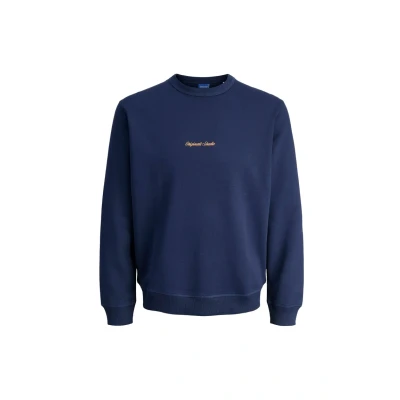Afbeelding van JACK &amp; JONES Jornorrebro Emb Sweat Crew Pls Plus Size, Ocean Cavern, 3XL
