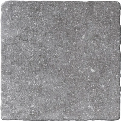 Afbeelding van Bluestone Gris 20x20 getrommeld Vloertegel badkamer