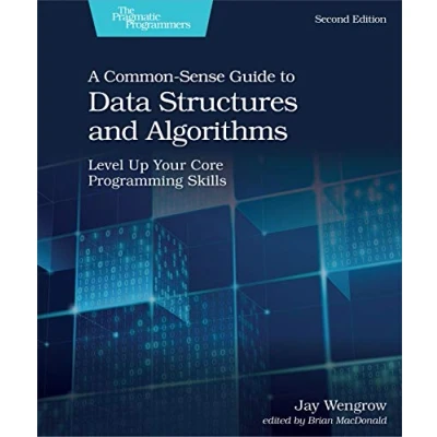 Afbeelding van A Common Sense Guide to Data Structures and Algorithms: Level Up Your Core Programming Skills