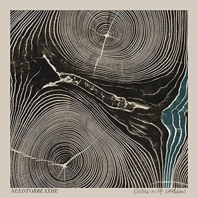Afbeelding van Needtobreathe Rivers In The Wasteland (LP)